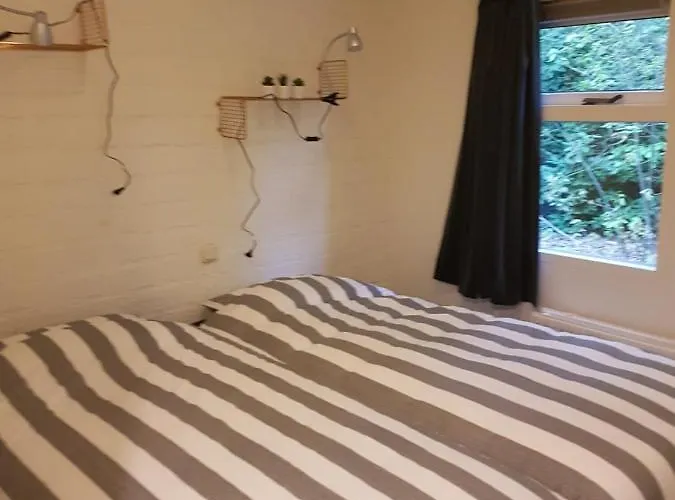 Bospark De Schaapskooi * Epe