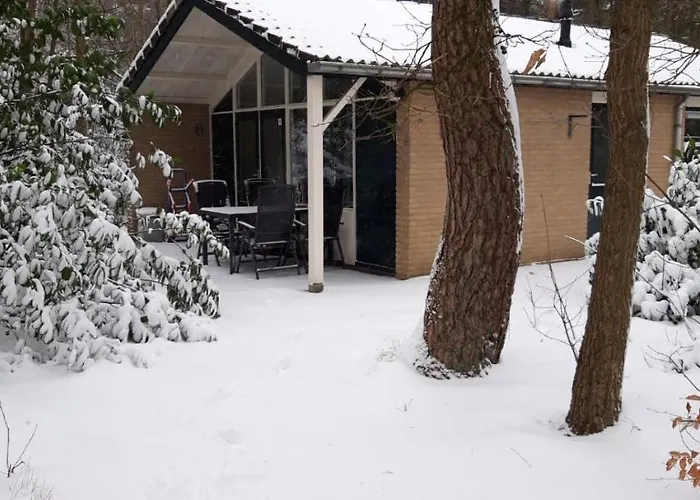 Bospark De Schaapskooi Holiday home *