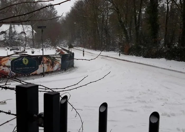 Bospark De Schaapskooi Epe